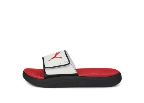 PUMA Softride (382112-08) bunt