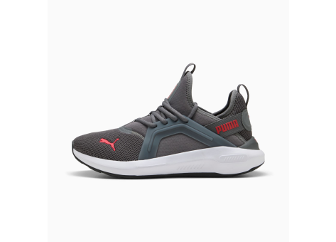 PUMA Softride Enzo 5 (311098_04) grau