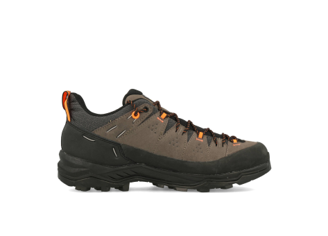 Salewa ALP Trainer 2 (61402-7953) grau