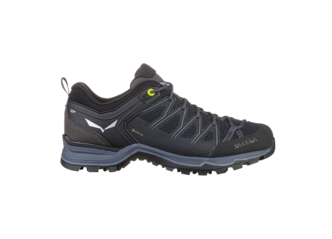 Salewa Trainer MTN GTX Lite (61361-0971) schwarz