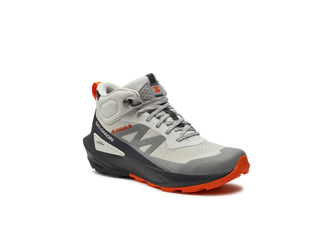 Salomon Elixir Activ Mid Gore Tex (L47456700) grau