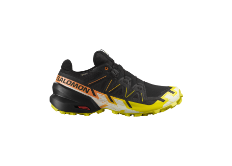 Salomon Speedcross 6 GTX Gore Tex (L47465400) schwarz