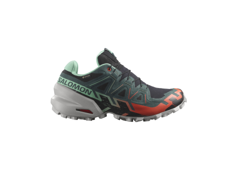 Salomon Speedcross 6 GTX (L47584200) schwarz