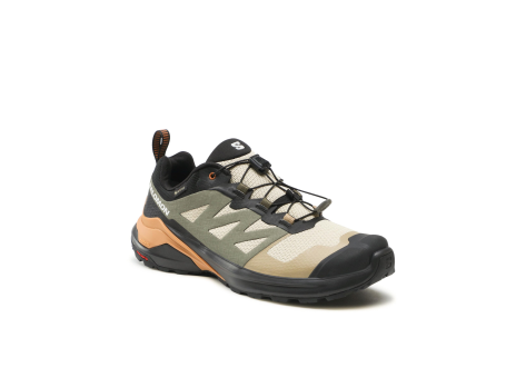 Salomon X ADVENTURE GORE TEX GTX (473213) braun