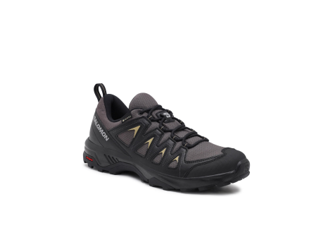 Salomon X Braze GORE TEX (471805) grau