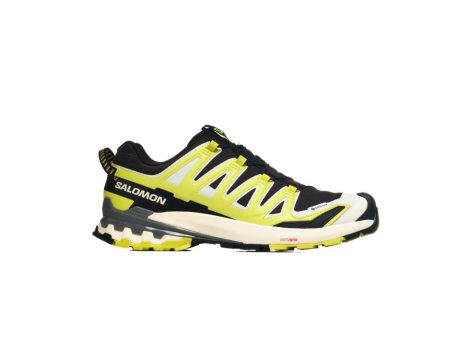 Salomon XA Pro 3D v9 GTX (L47468600) bunt