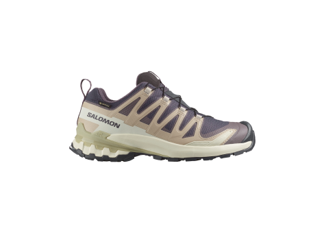Salomon XA Pro 3D V9 GTX W (L47744700) bunt