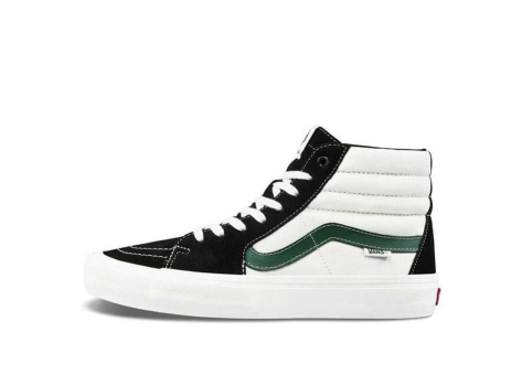 Vans SK8 HI Pro Alpine (VN000VHGW6D) bunt