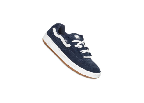 Vans Speed WS (VN000D88JDU1) blau