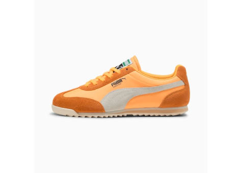 puma Runner Arizona Nylon (398682-04) grau