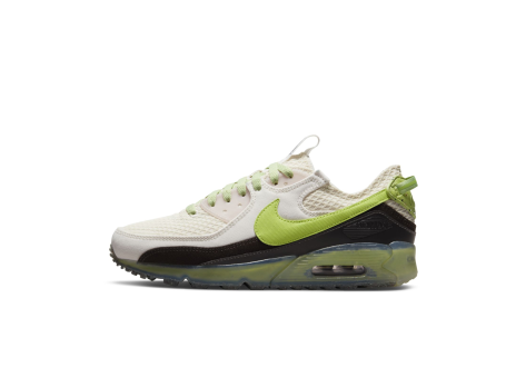 Nike Air Max Terrascape 90 (DM0033-001) bunt