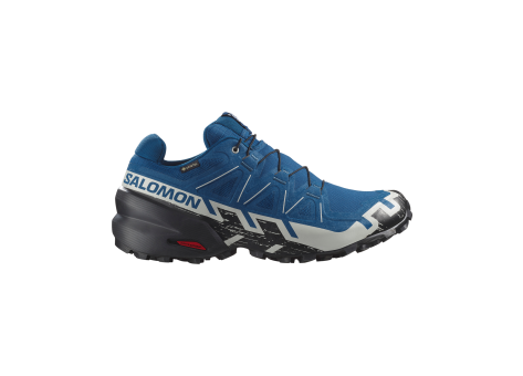 Salomon Speedcross 6 GTX (L47764900) blau
