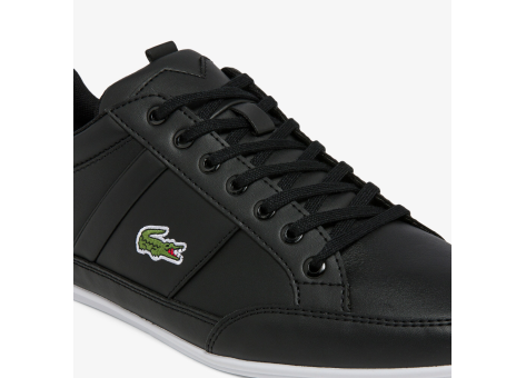 Lacoste deals chaymon black