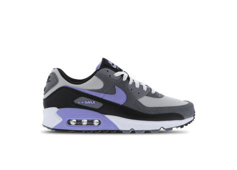 Nike Air Max 90 (DM0029-014) bunt