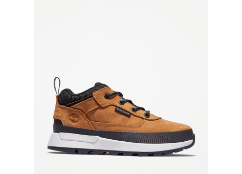 Timberland Field Trekker Low (TB0A2GN12311) braun