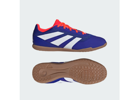 adidas Predator Club IN Sala (IF6403) blau