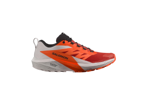 Salomon Sense Ride 5 (L47046200) bunt
