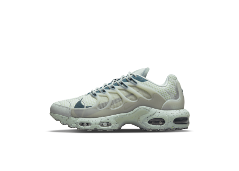 Nike Air Max Plus Terrascape (DC6078-001) grau