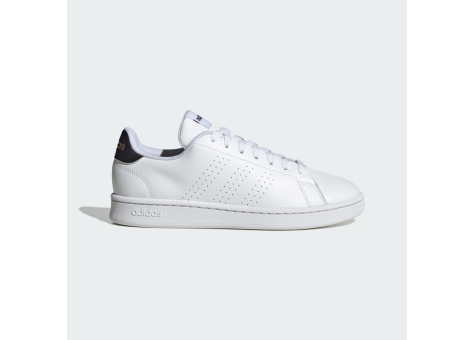 adidas Advantage (IF6106) weiss