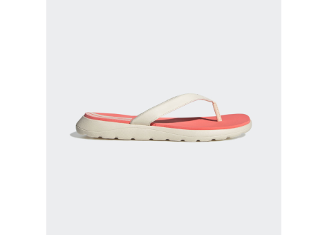 adidas Neo Flip Flops Comfort (GZ5944) bunt