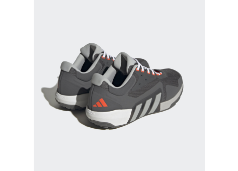 adidas Dropset Trainer (HP7749) grau