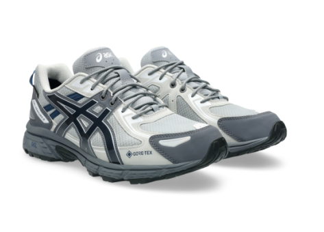 Asics GEL VENTURE 6 GTX grau 1203A560.020 Preisvergleich