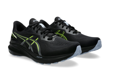 Asics GT 1000 13 GTX schwarz 1011B857.001 Preisvergleich