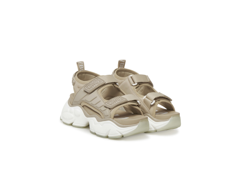 Buffalo Binary Track (1602297) braun