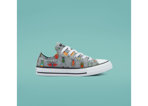 Converse Chuck Taylor All Star (670705C) grau