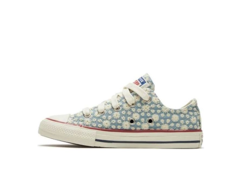 Converse Chuck Taylor All Star Low Top Denim Toddler Youth (668034C) bunt