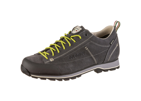 Dolomite 54 Low GTX (247961-0226) grau