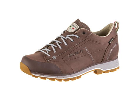 Dolomite 54 Low Fg Evo GTX (292534-1473) braun