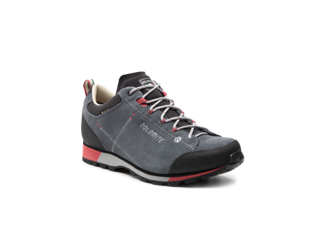 Dolomite 54 Hike Low Evo GORE TEX Gtx (289210-1076) grau