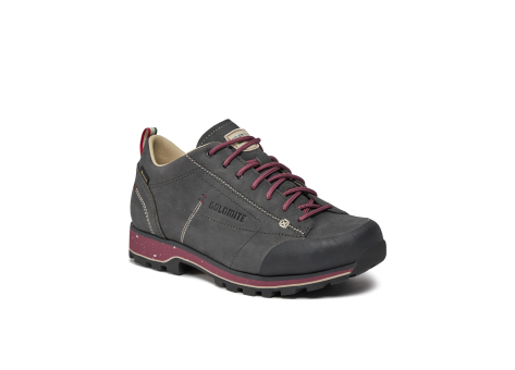 Dolomite 54 Low Fg Evo GTX (292534-0937) grau