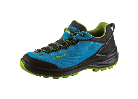 Lowa DELAGO GTX (640065-6901) bunt