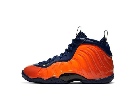 Nike Air Foamposite One Blue Void Rugged GS (644791-407) bunt