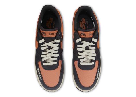 Nike Air Force 1 GTX Gore tex Low (DO2760-220) bunt