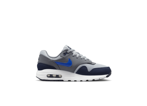 Nike Air Max 1 grau DZ3307 007 Preisvergleich