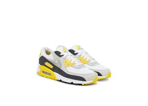 Nike Air Max 90 (DM0029-111) bunt