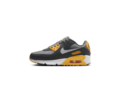 Nike Air Max 90 (HF6358-004) grau