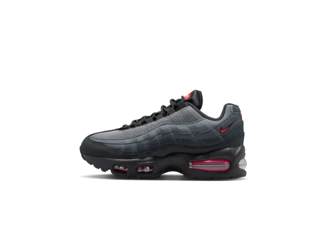 Nike Air Max 95 (IH4476-002) bunt