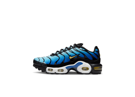 Nike Air Max Plus Og Hyper Blue GS (CD0609-032) bunt