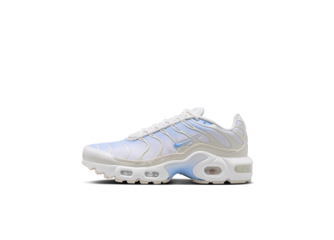 Nike Air Max Plus (CD0609-411) blau