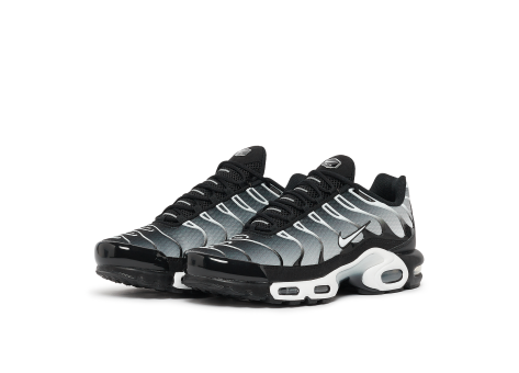 Nike Air Max Plus Silver (DM0032-003) bunt
