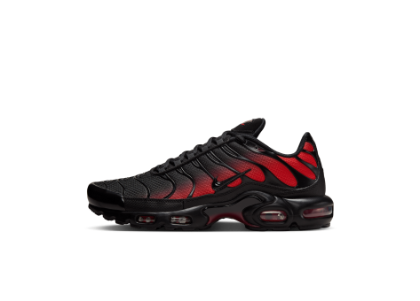 Nike Air Max Plus (DM0032-021) bunt