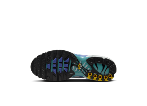 Nike Air Max Plus Aqua blau DM0032 102 Preisvergleich