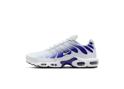 Nike Air Max Plus (DM0032-105) bunt