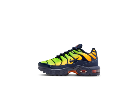 Nike Air Max Plus (FZ0023-700) bunt