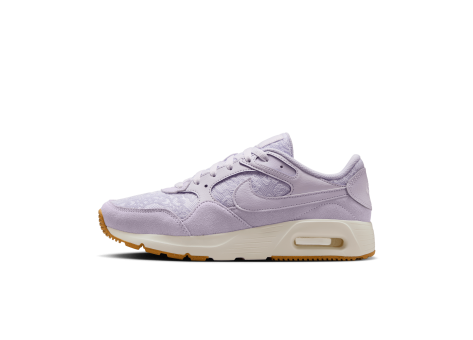 Nike Air Max SC (HJ6002-500) lila