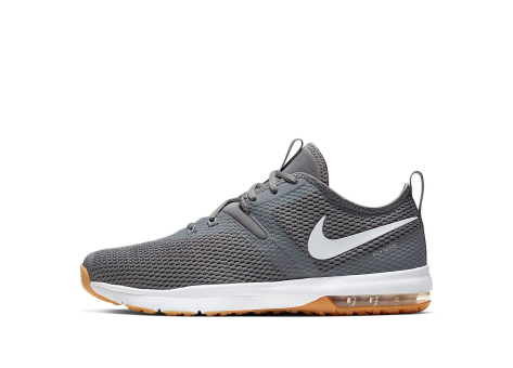 Nike Air Max Typha 2 Gray (AO3020-002) grau